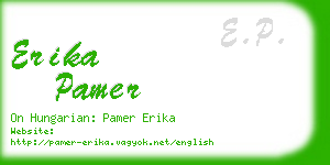 erika pamer business card